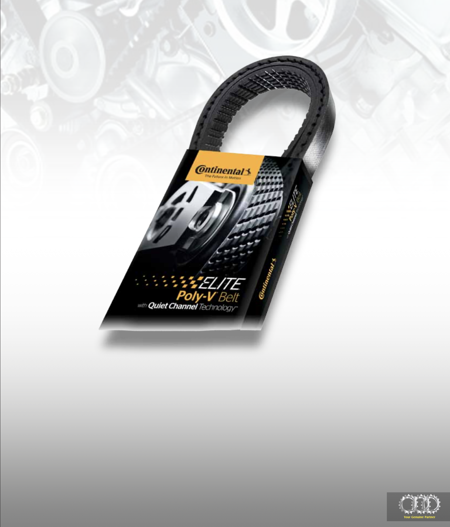 Conti V Belts